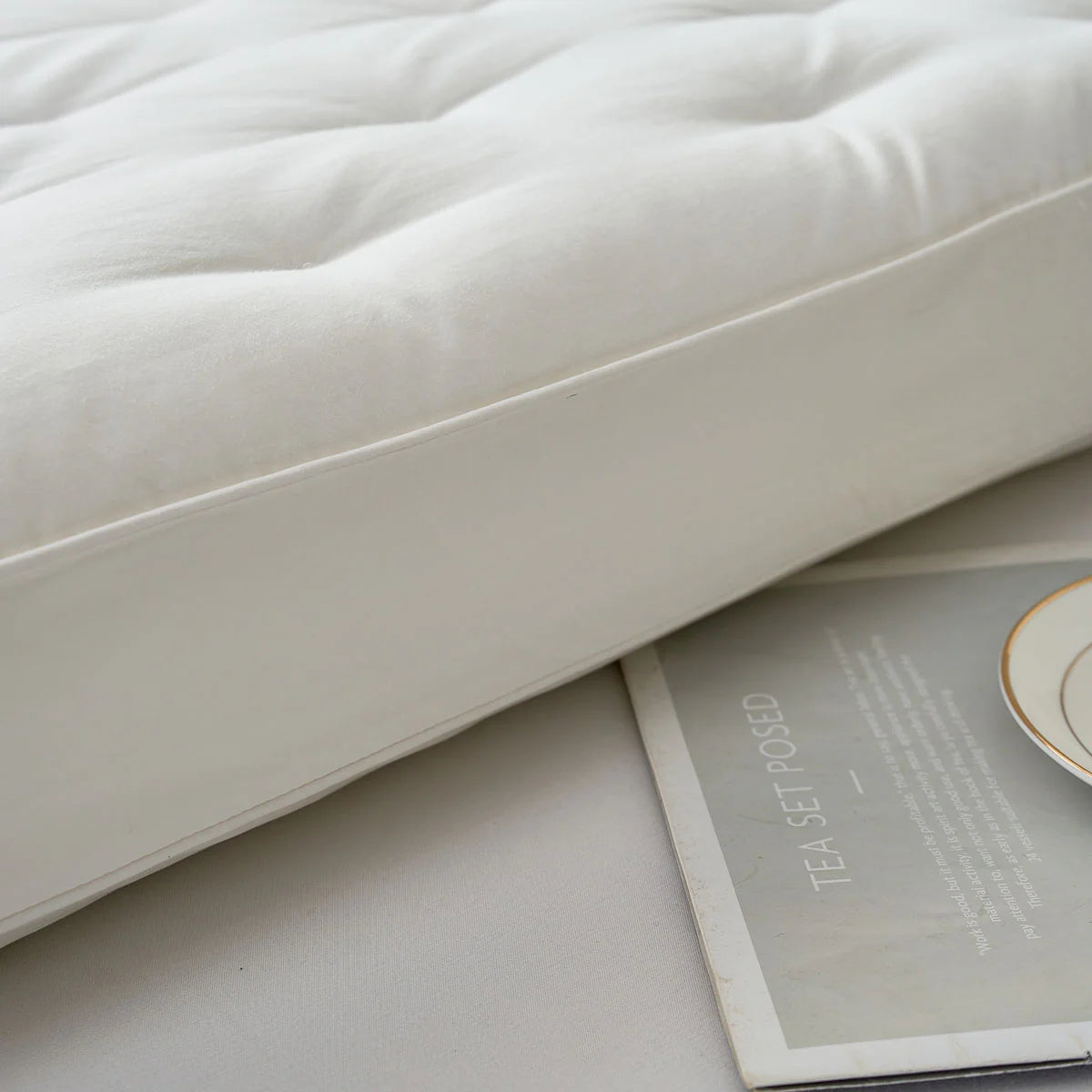 (Exclude from Promotion) PiloMio® Goose Down Memory Foam Dual Pillow