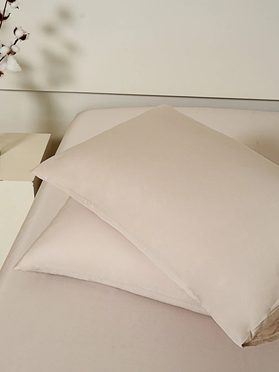 Coco Apricot Premium Cotton Standard Pillow Sham x2p