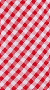 Abia Mini Dress - White/ Red Check