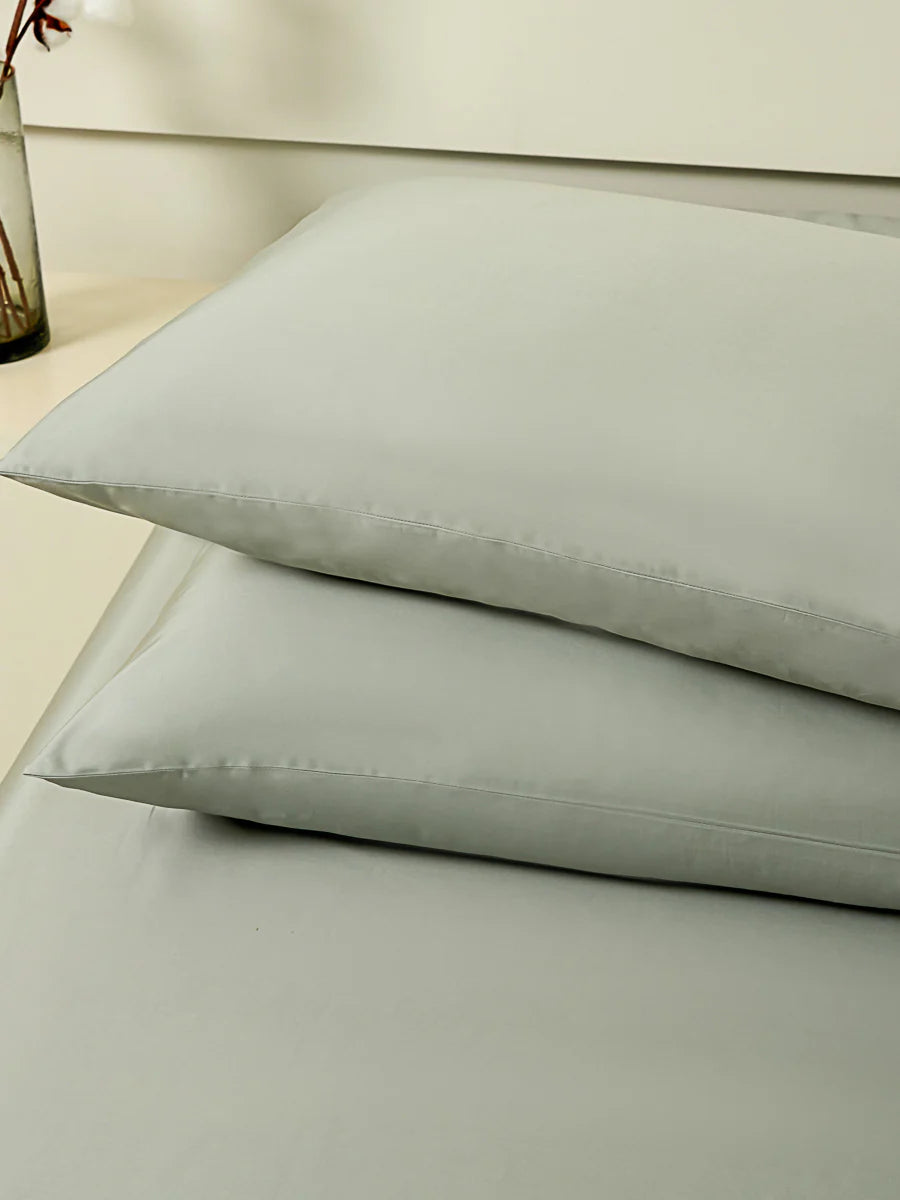 Sunny Green Premium Cotton Standard Pillow Sham x2p