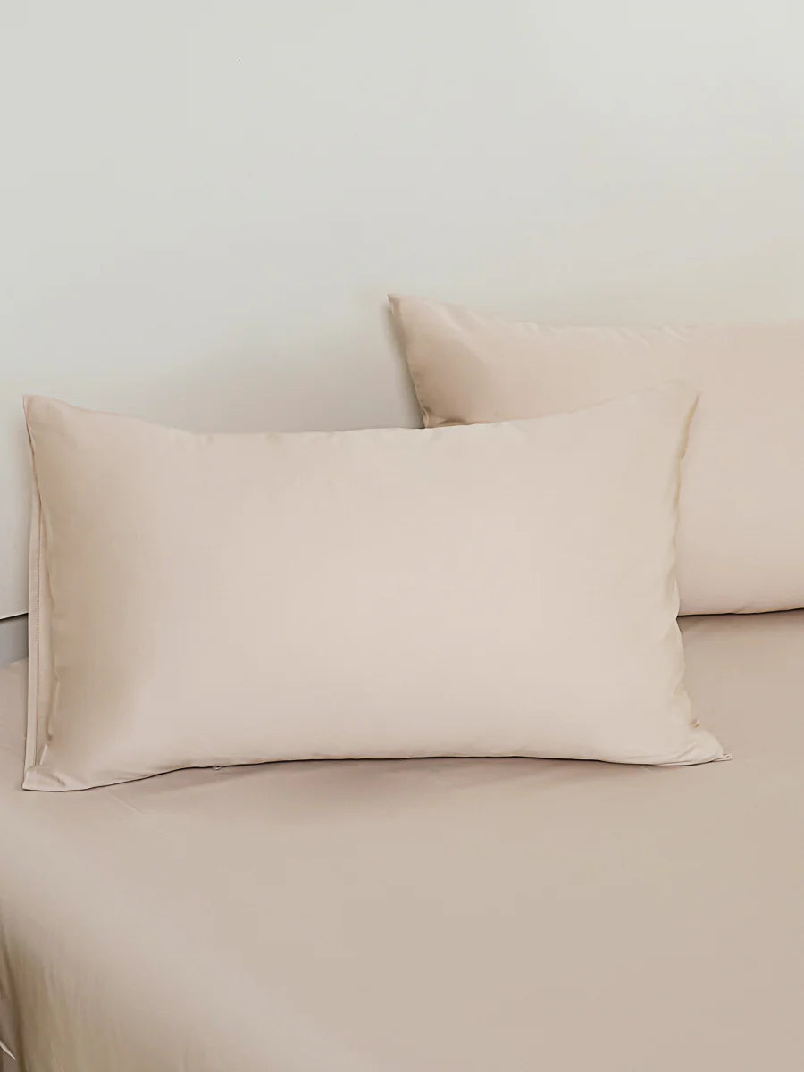 Coco Apricot Premium Cotton Standard Pillow Sham x2p