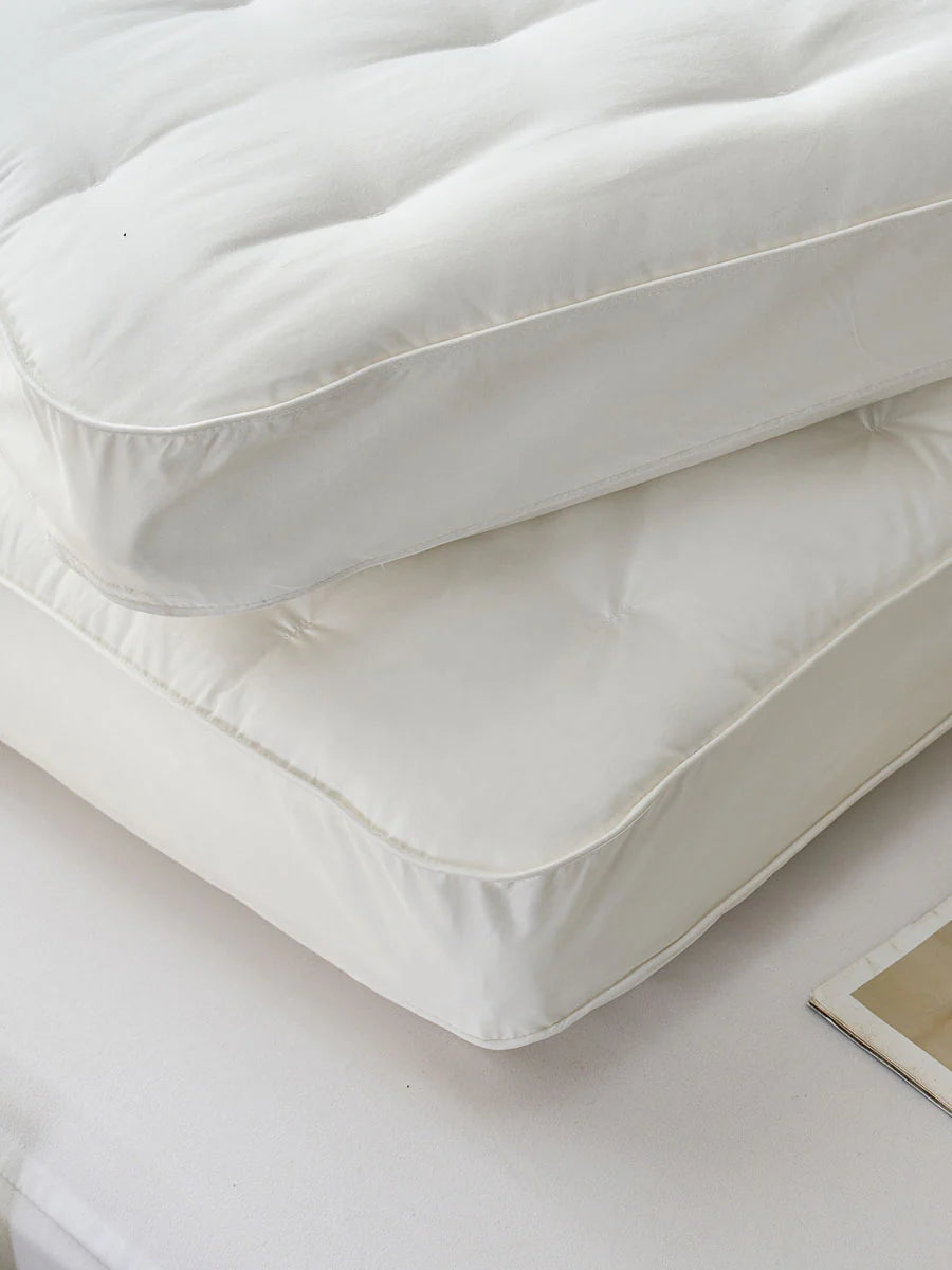 (Exclude from Promotion) PiloMio® Goose Down Memory Foam Dual Pillow