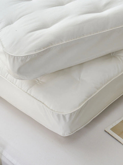 (Exclude from Promotion) PiloMio® Goose Down Memory Foam Dual Pillow