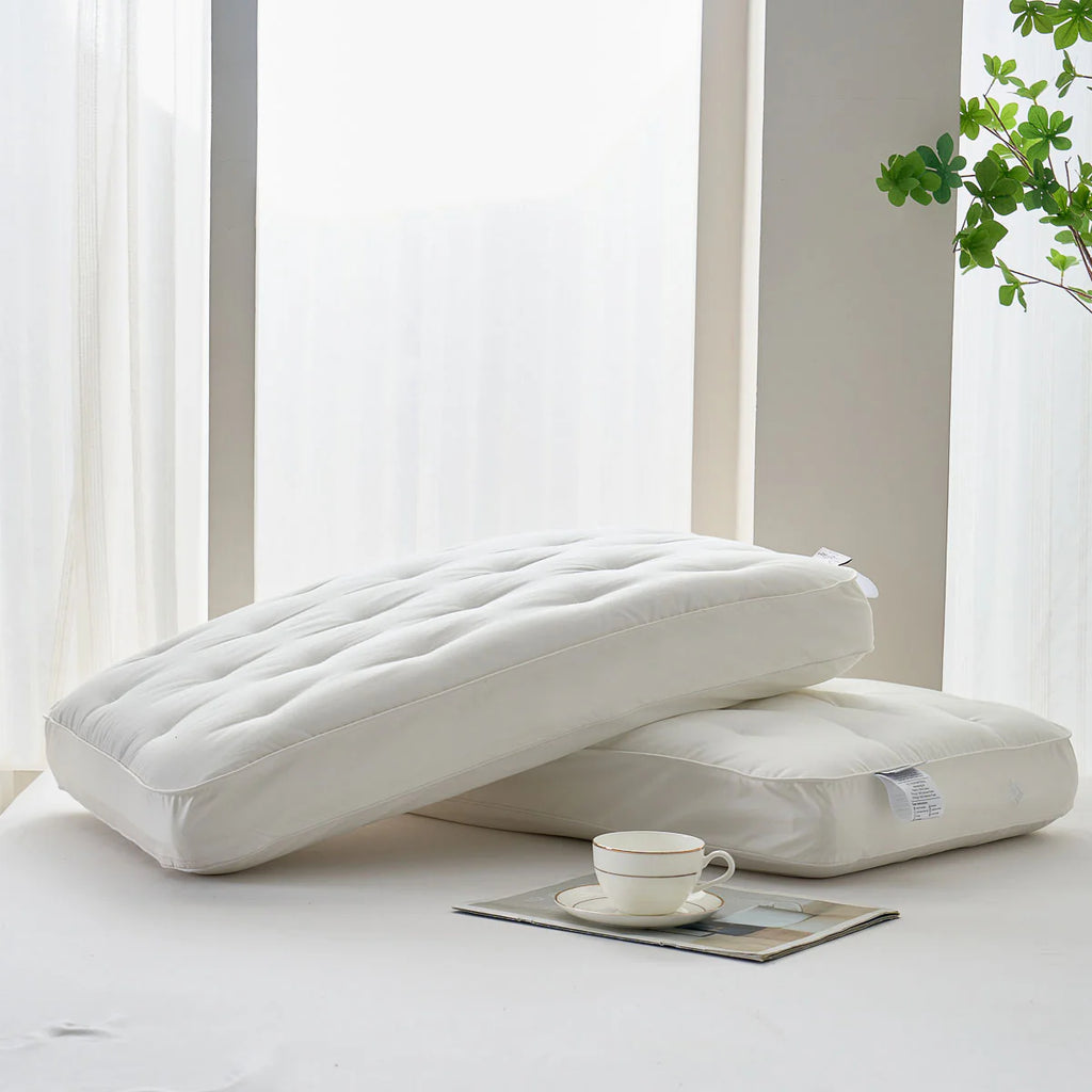 (Exclude from Promotion) PiloMio® Goose Down Memory Foam Dual Pillow