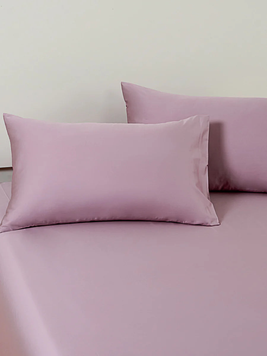 Pearlish Purple Premium Cotton Standard Pillow Sham x2p
